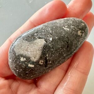 Rare Petoskey Fossil w/ Natural ❤️ Heart Shape! Lake Michigan ~approx 2.5”x1.25”
